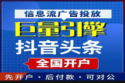 SEO与SEM优化案例：打造行业领先品牌